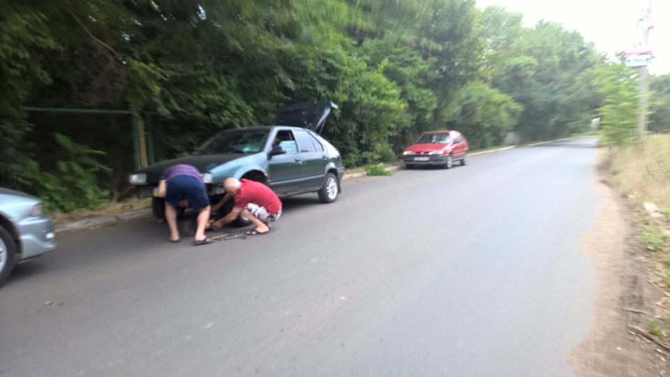 Чіп і Дейл йдуть на допомогу :))) 1
