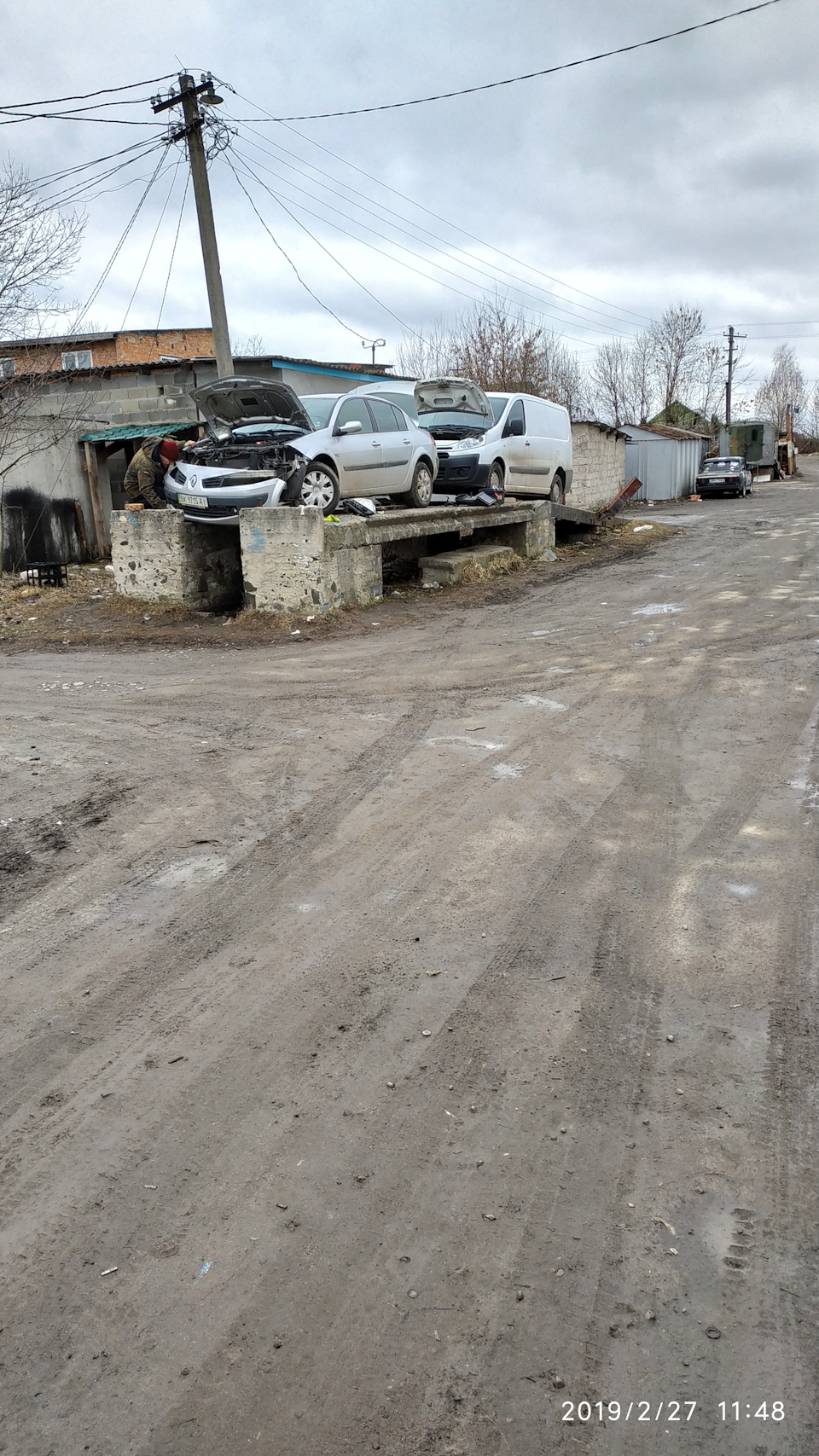Проснулися зі сплячки 1