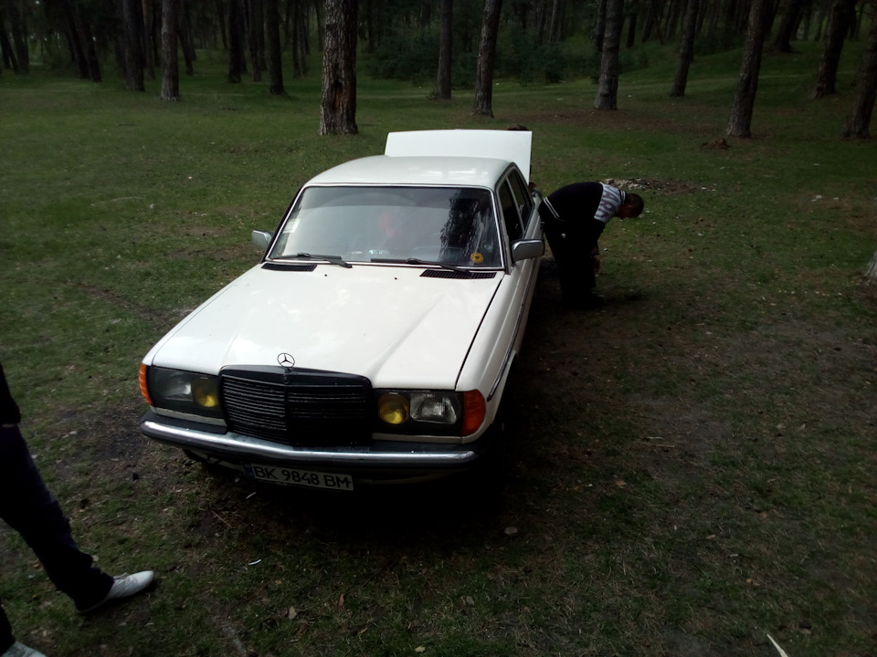 Просто фотографії на природі)) 1