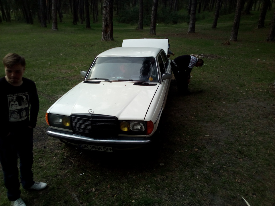 Просто фотографії на природі)) 2