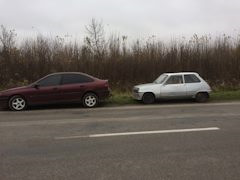 Крига рушила, розтин показало ... 1
