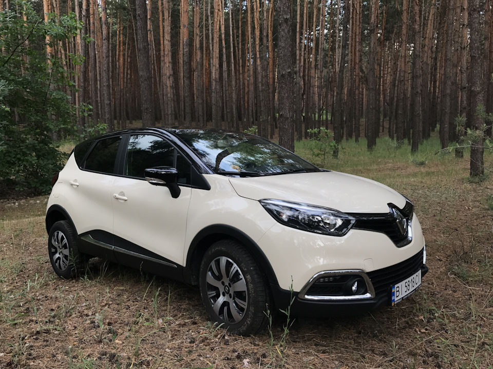 По ґрунтових доріжках та лісах) 1