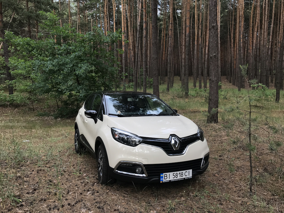По ґрунтових доріжках та лісах) 5