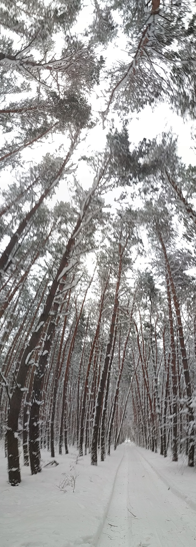 Новорічна фотосесія 2