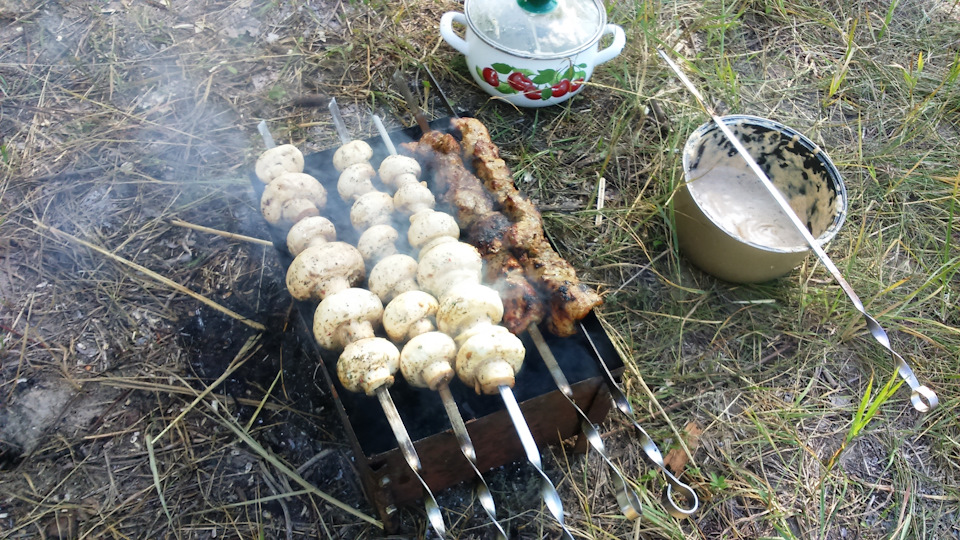 Доїхали до природи 4