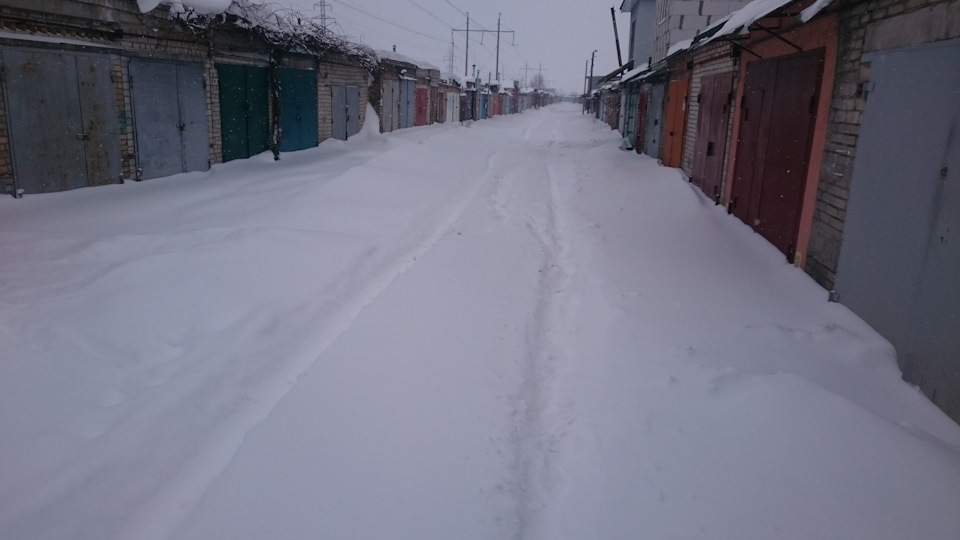 Люблю зиму на початку березня... 1
