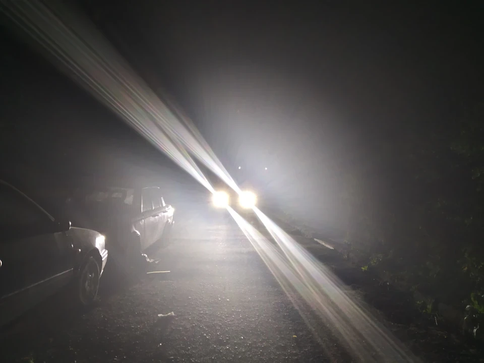 Лампочки LED H1 Clio 4