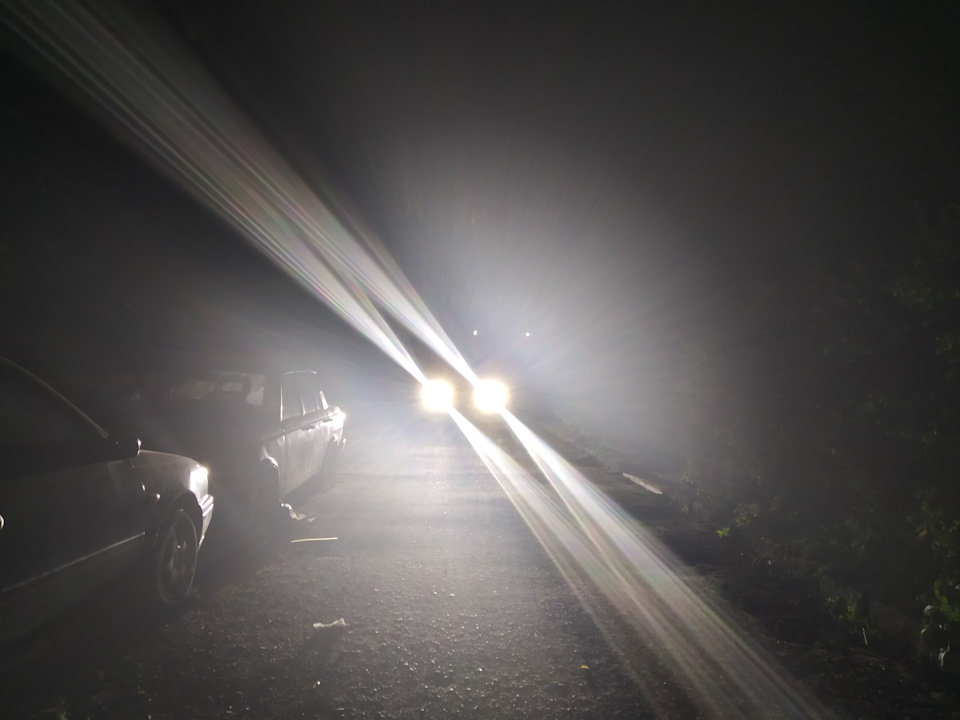 Лампочки LED H1 Clio 4 1
