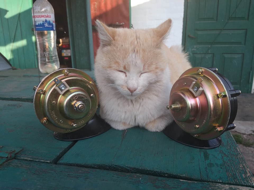 Паровозик, який зміг 5