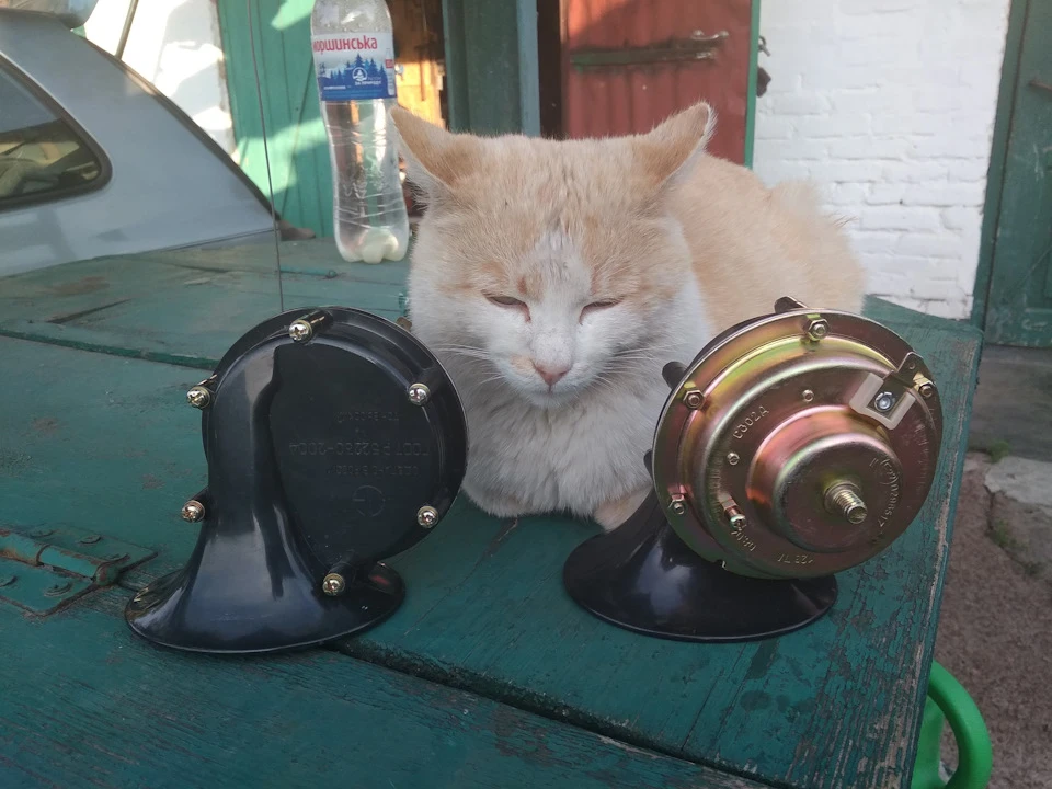 Паровозик, який зміг