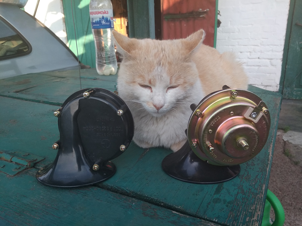 Паровозик, який зміг 1