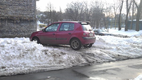 Жаба на снігу. 1
