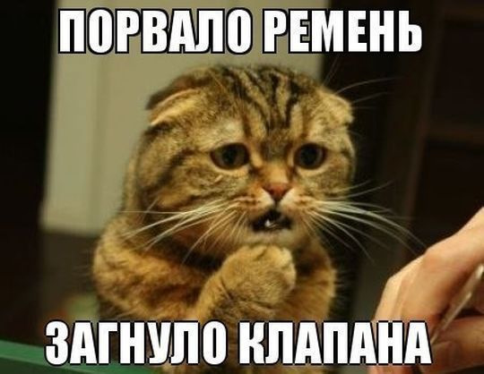Я пішохід на якийсь час... 2