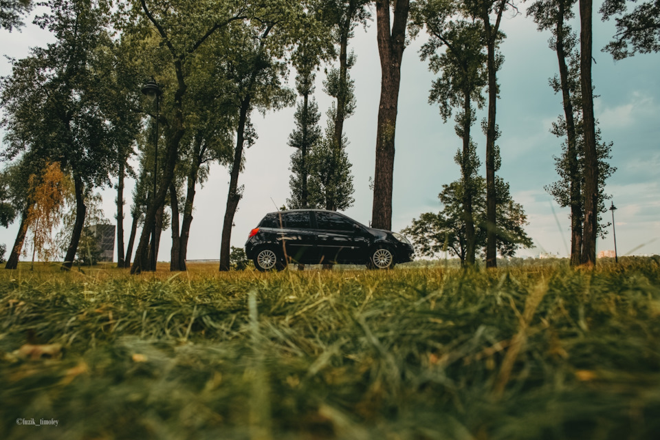 Фотосесія (звичайна, не автофіксація 😁) 5