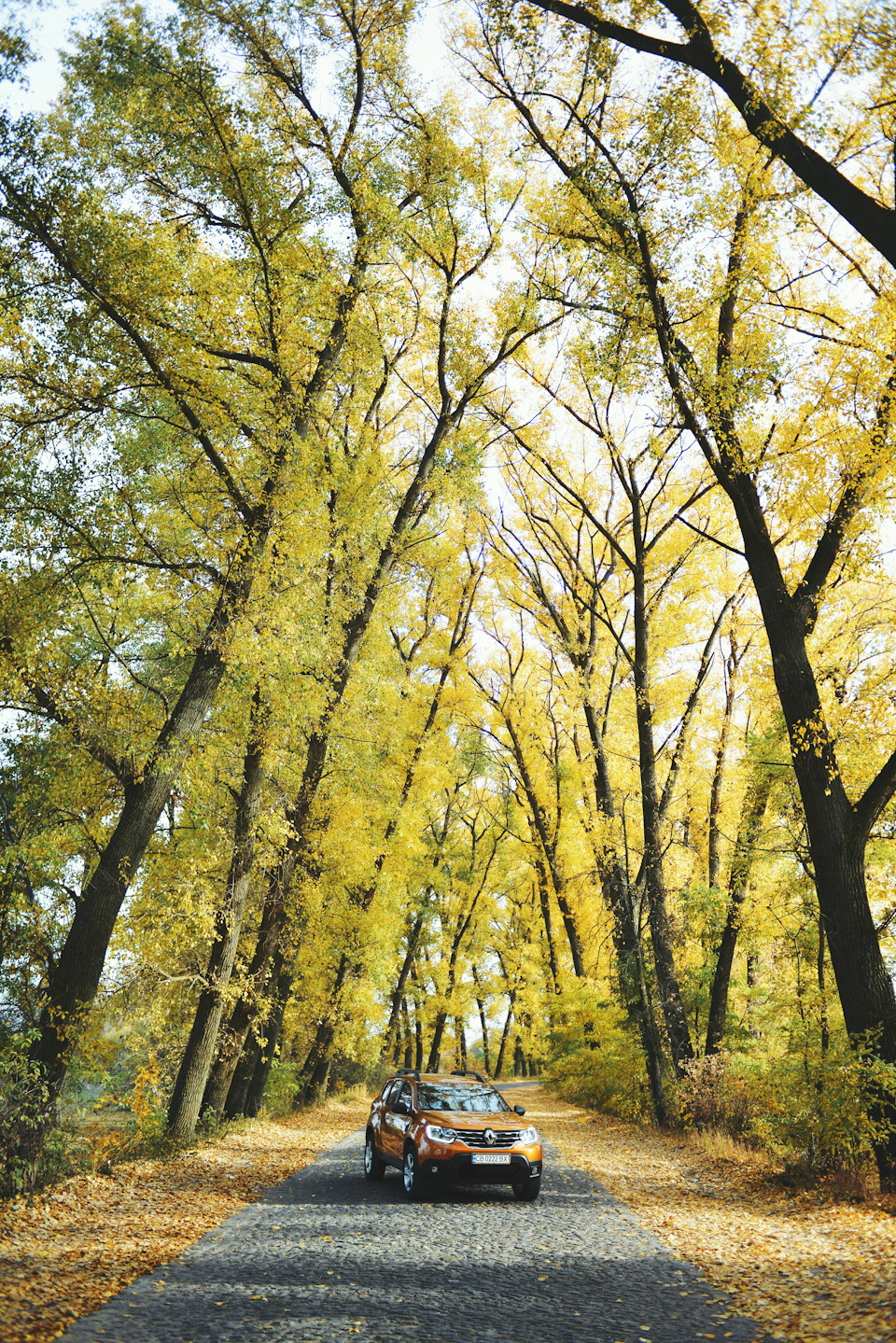 Невелика фотосесія🔝📷 2