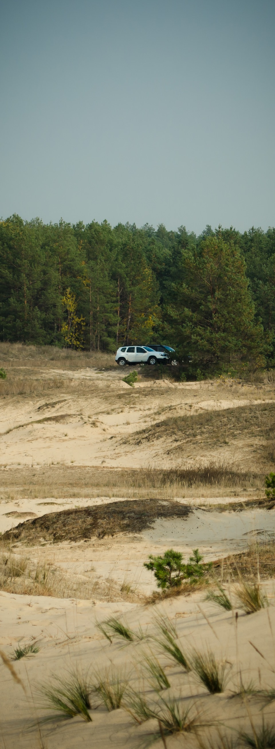 Більше замітка, ніж запис 4