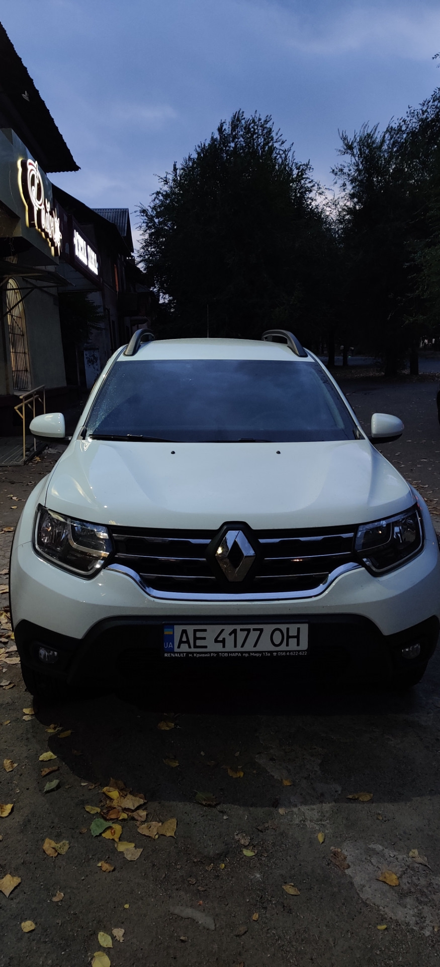 Дзеркала в колір кузова 4