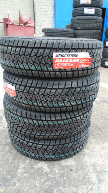 Bridgestone blizzak dm-v2 1