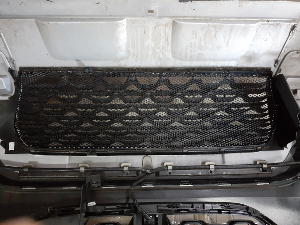 Сітка в радіаторні грати, а також, що під мордою Renault Duster (2G) 5