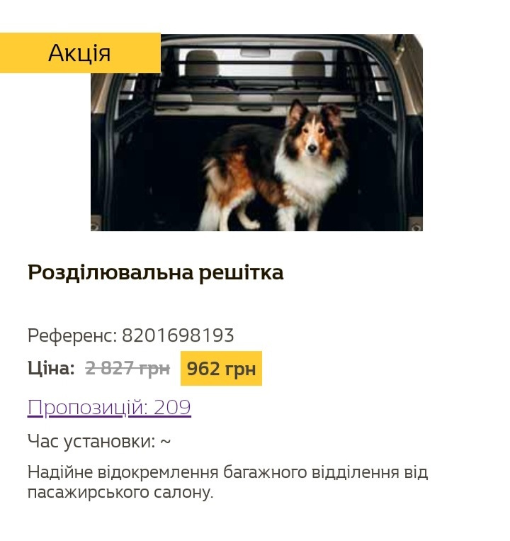 Встановлення розділової решітки (партномір 8201698193) у багажник Renault Duster (2G) 2