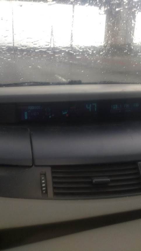 Покупка в Польщі 2