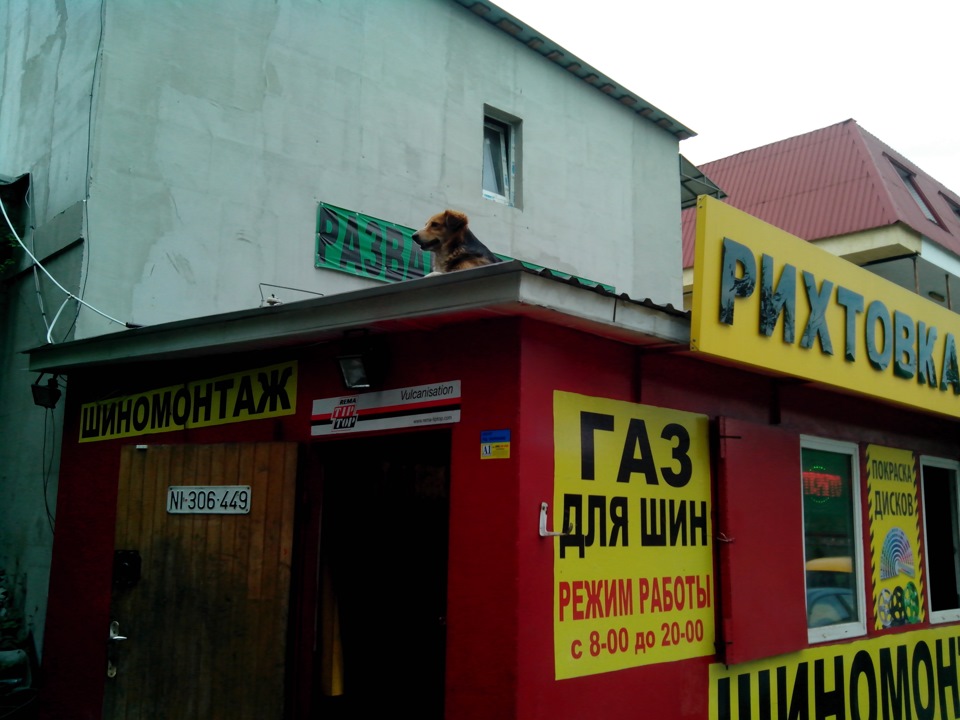 змінив гуму 1