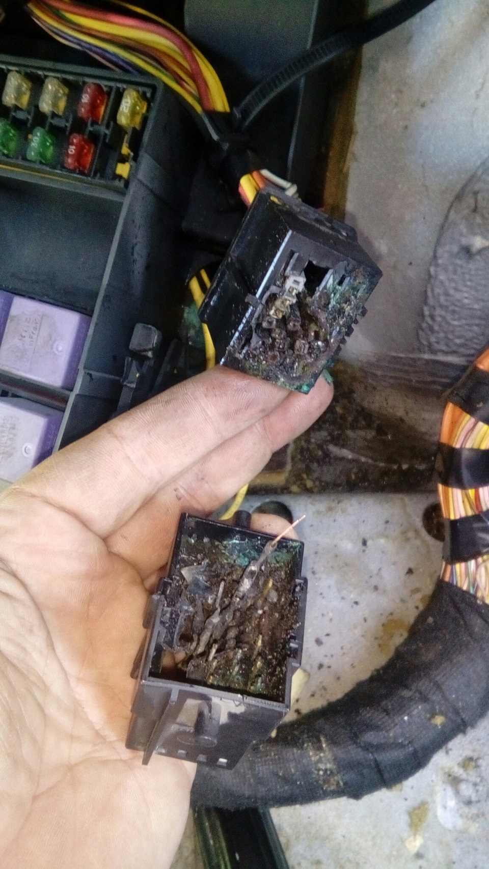 Причина диму в салоні нацдена. Як тільки зійшли сніги 3