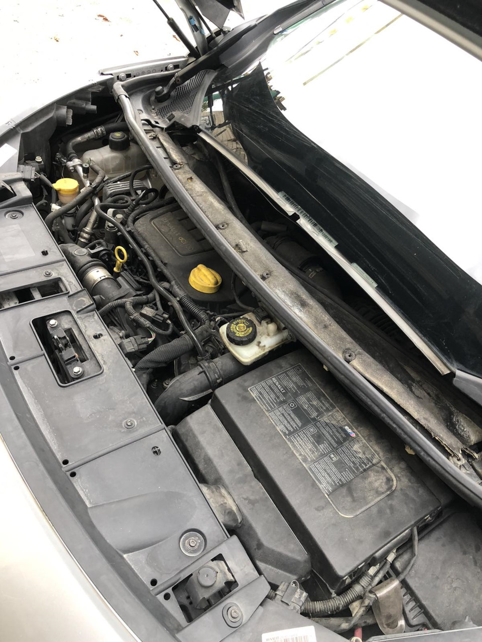 Заміна ЖАБО (668100006R) Renault Scenic 3 2