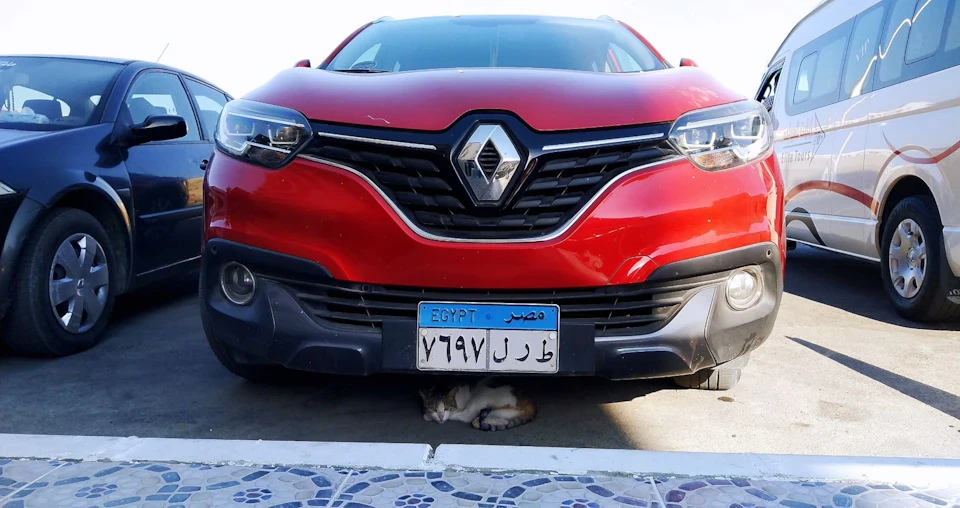 І тут Renault поважають...