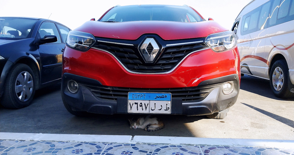 І тут Renault поважають... 1