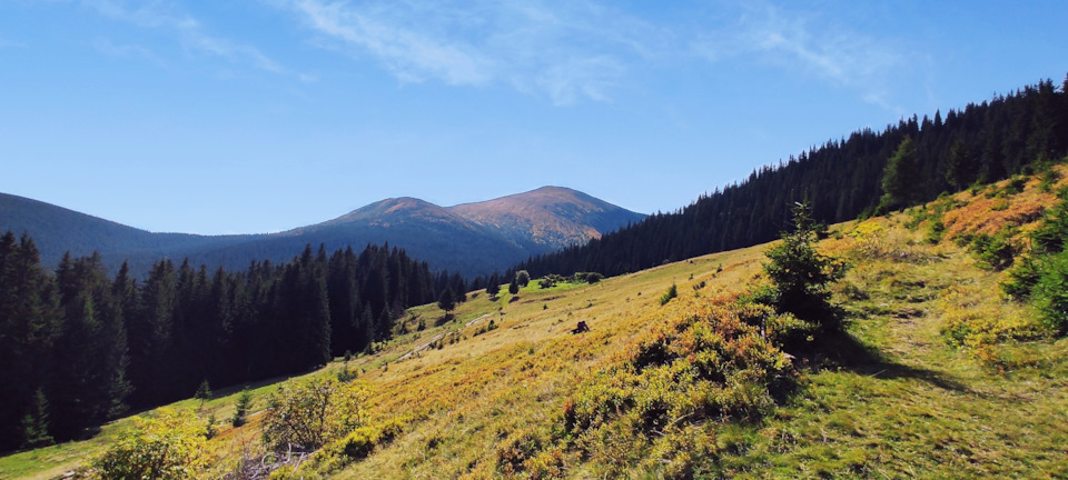 Рік на паузі! Всім привіт друзі… 3