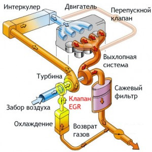 Чистка ЄДР 2 5
