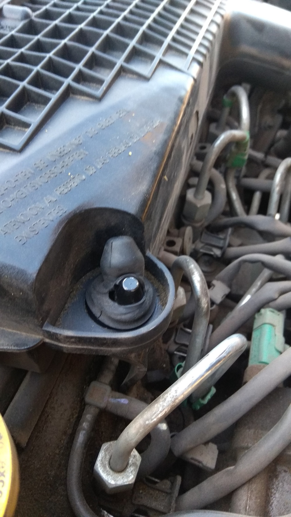 Подушка корпусу повітряного фільтра Renault Kangoo 8200818374 або ASAM 55554 2