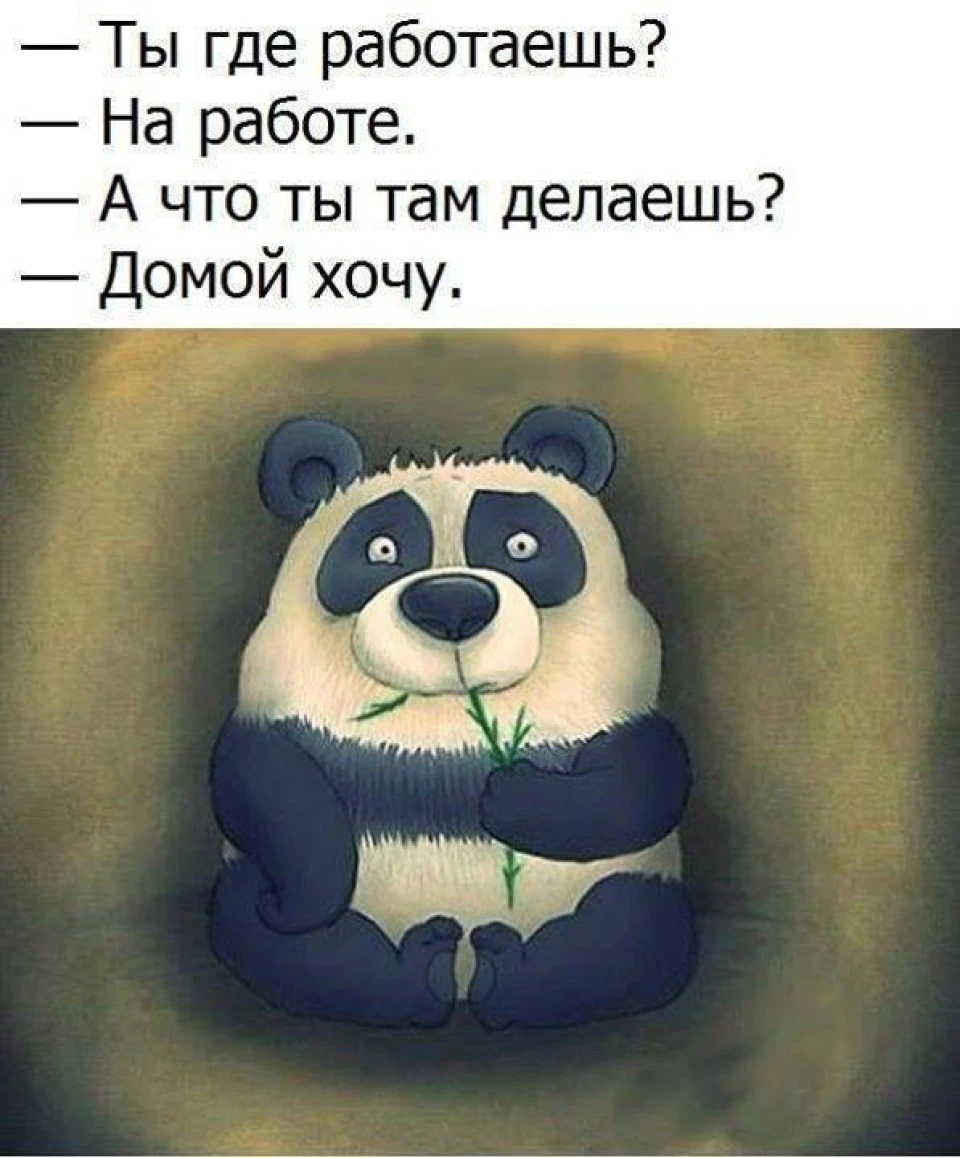 ЕКО Вело-Транспорт!