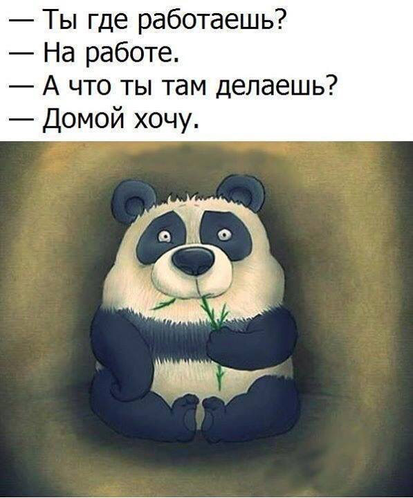 ЕКО Вело-Транспорт! 1