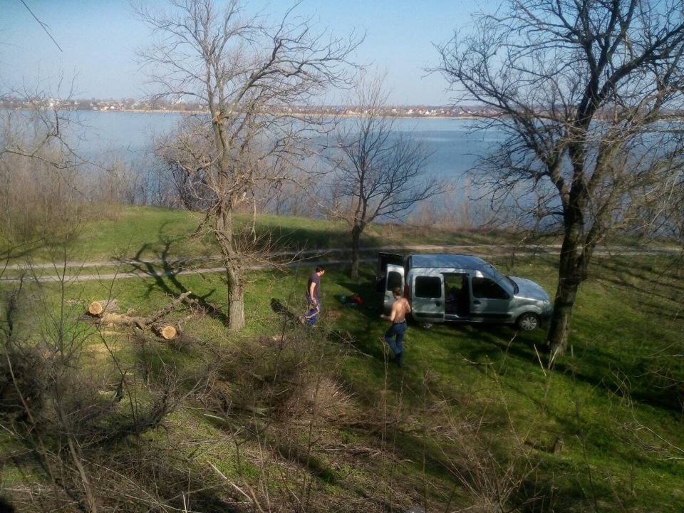 Поїхав за дровами 3