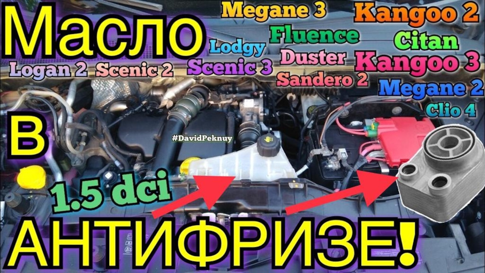 Олія в АНТИФРИЗІ 1.5 dci Kangoo 3. Citan. Kangoo 2 та інші РЕНО 1.5 dci K9K 1