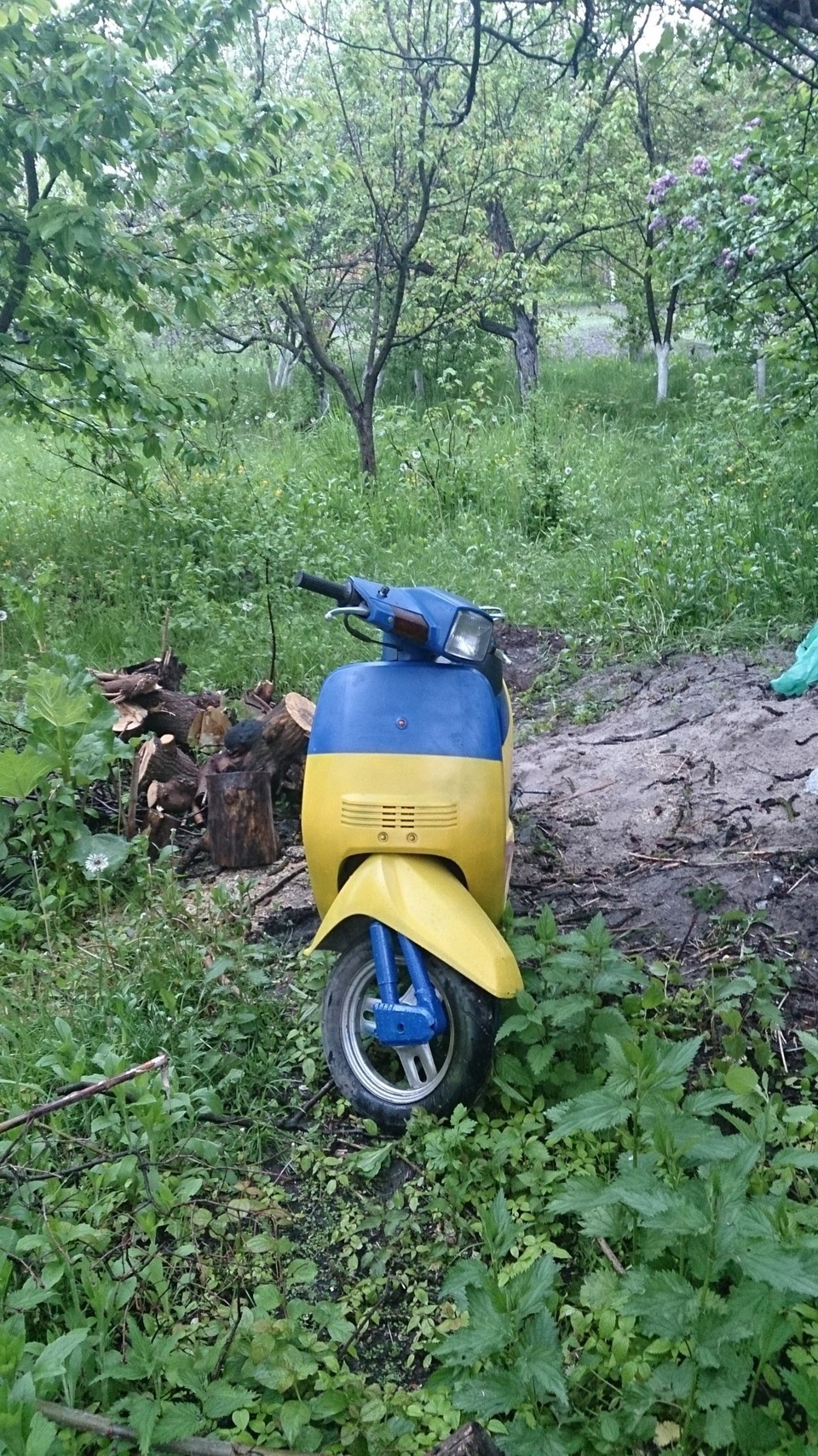 Honda Tact 2
