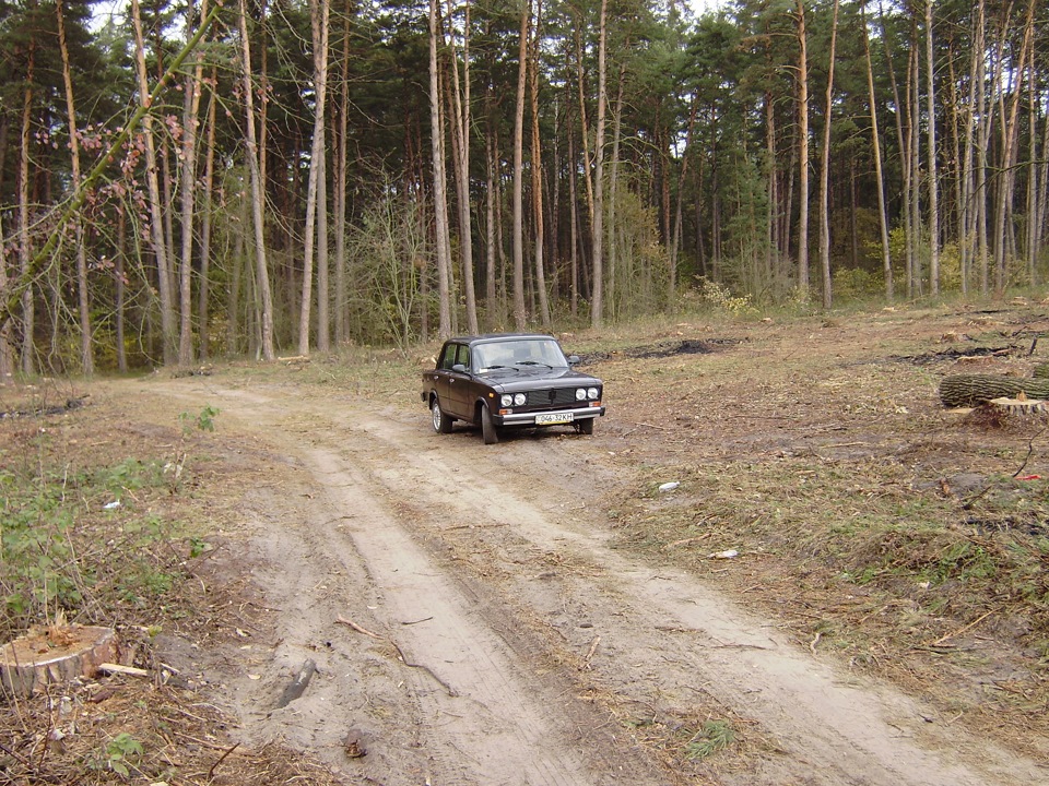 От фотки моєї минулої шісточки) 3