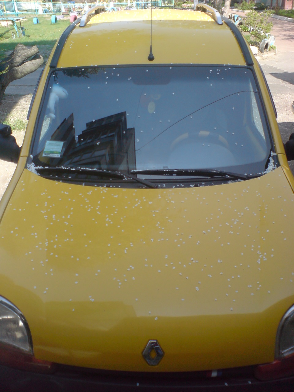 У нашому kangoo оселився чудовий сусід... 2