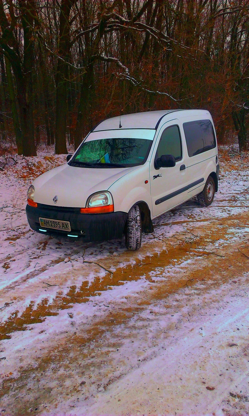 Моя Кенгуша =)