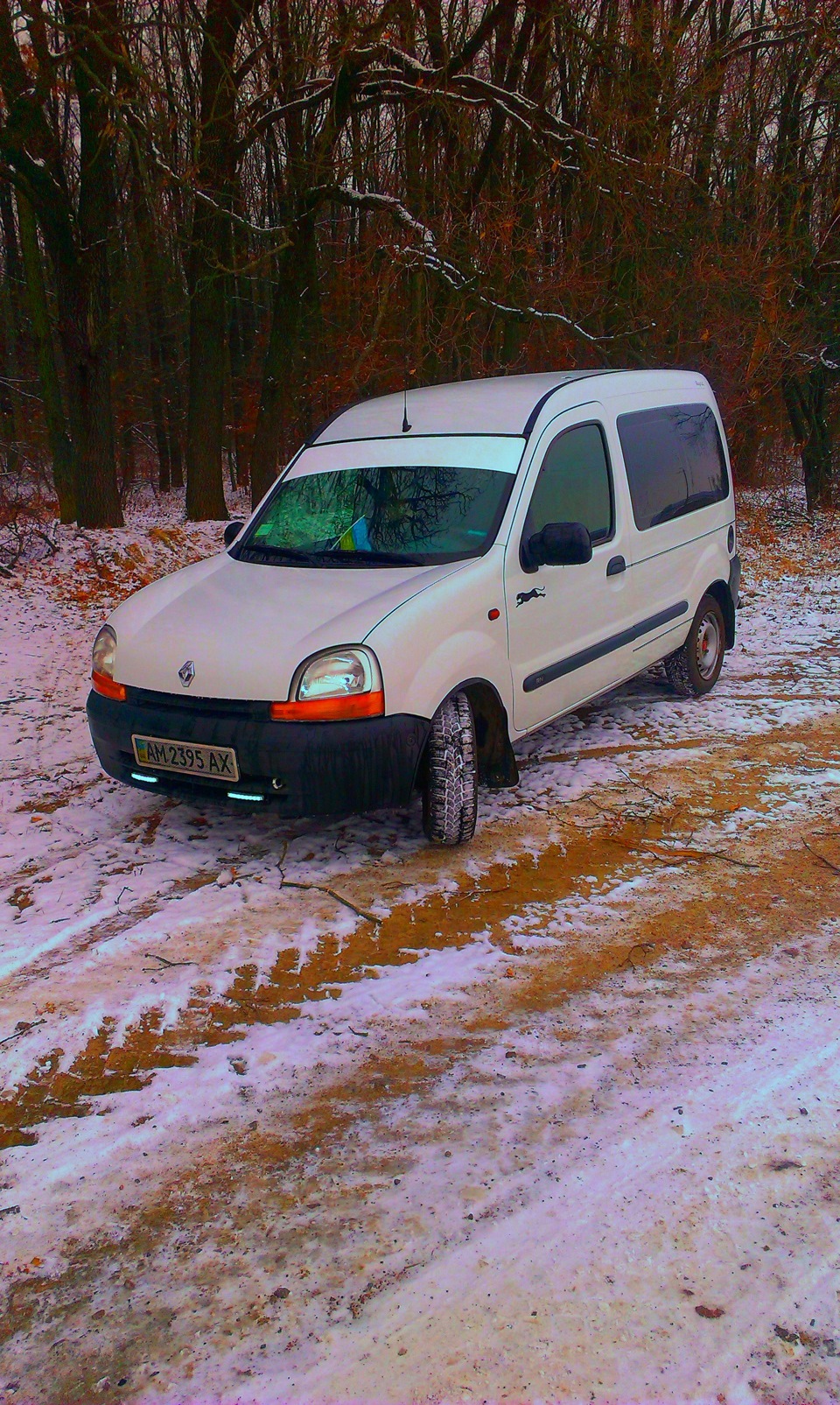 Моя Кенгуша =) 1