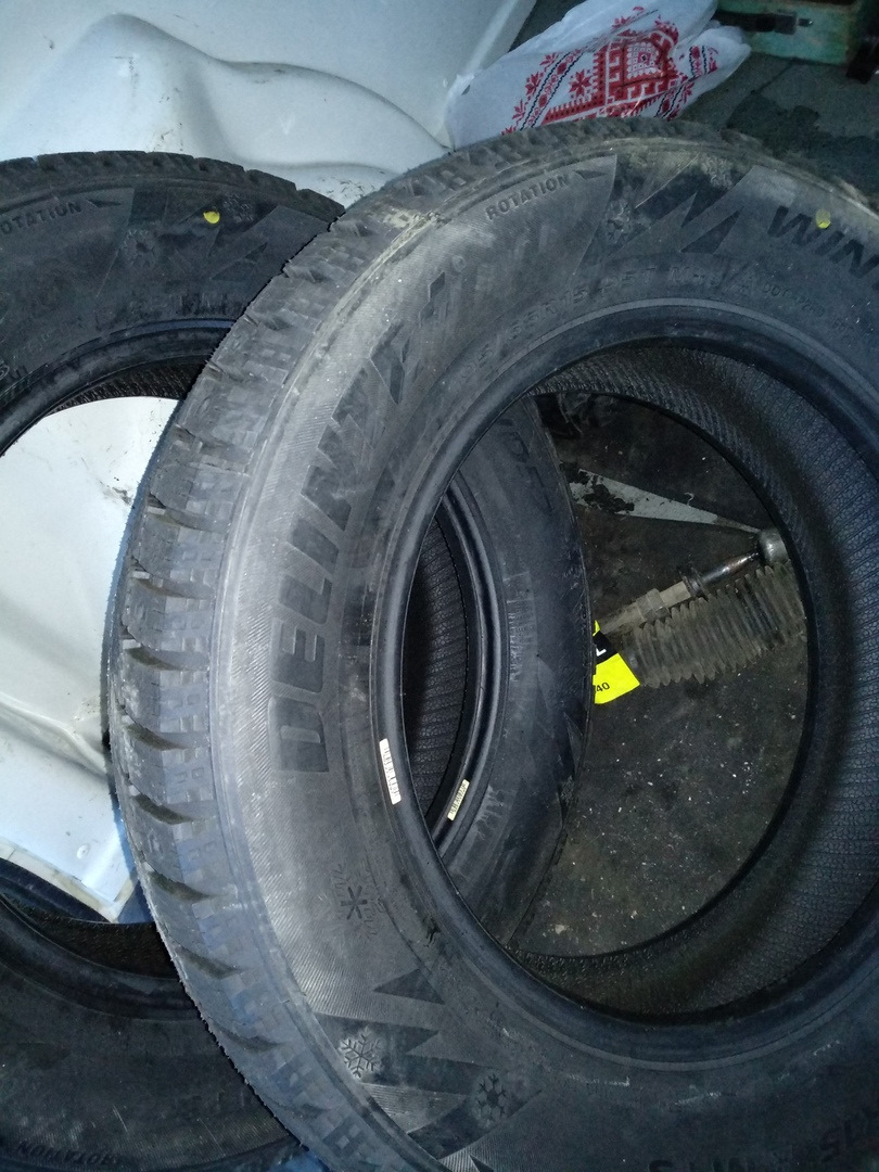 delinte winter wd 52 шини з піднебесної 3