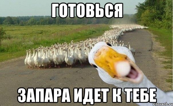 Запара 1