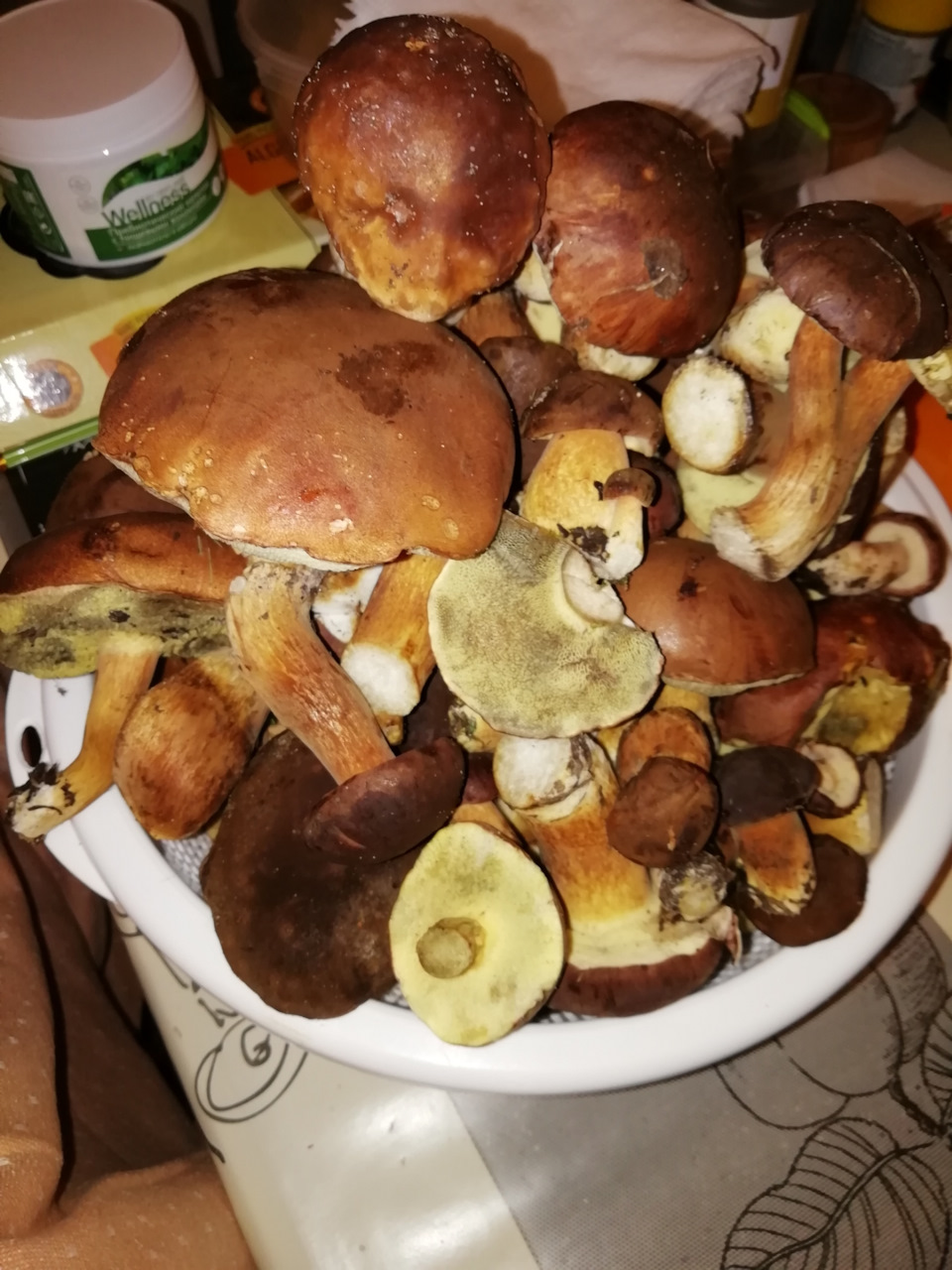 Грибочки)) 1