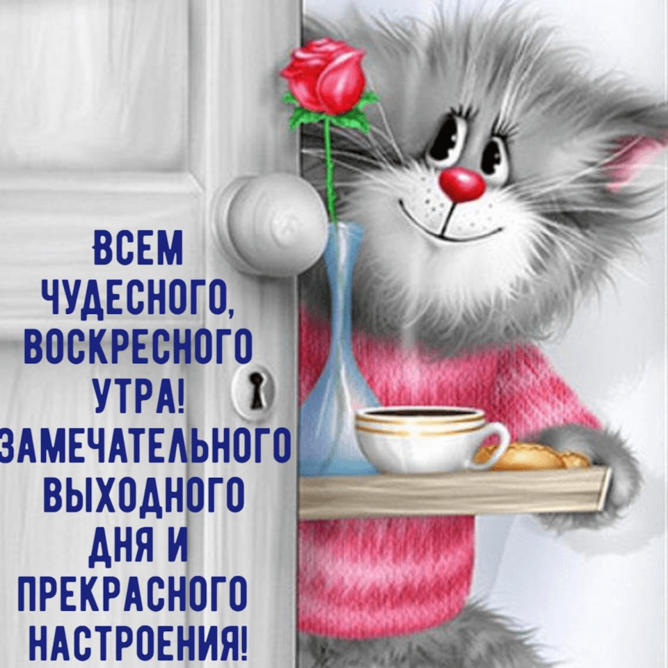 Присадка. 5