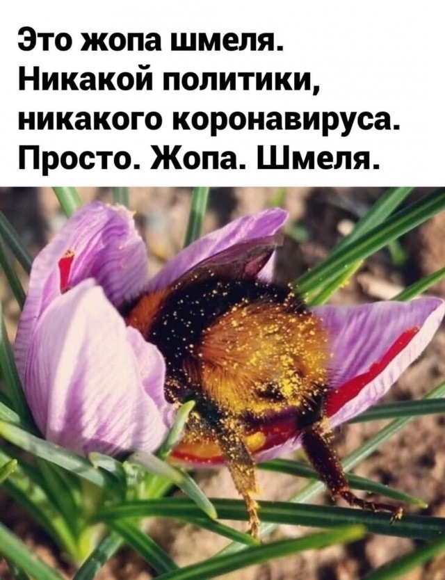 Заправка кондера. 4