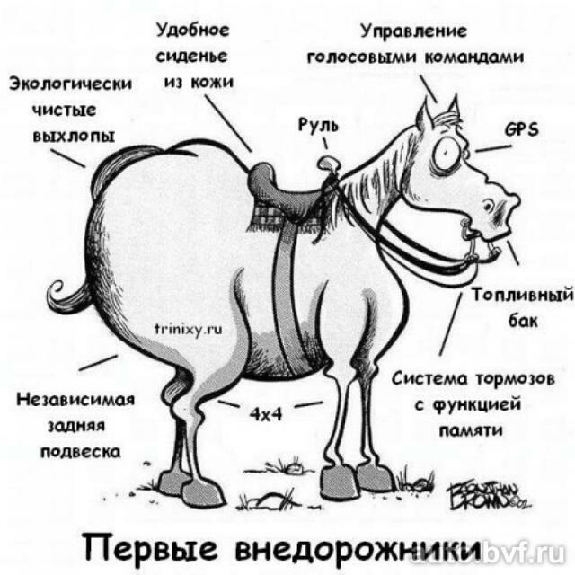 Зима! 5