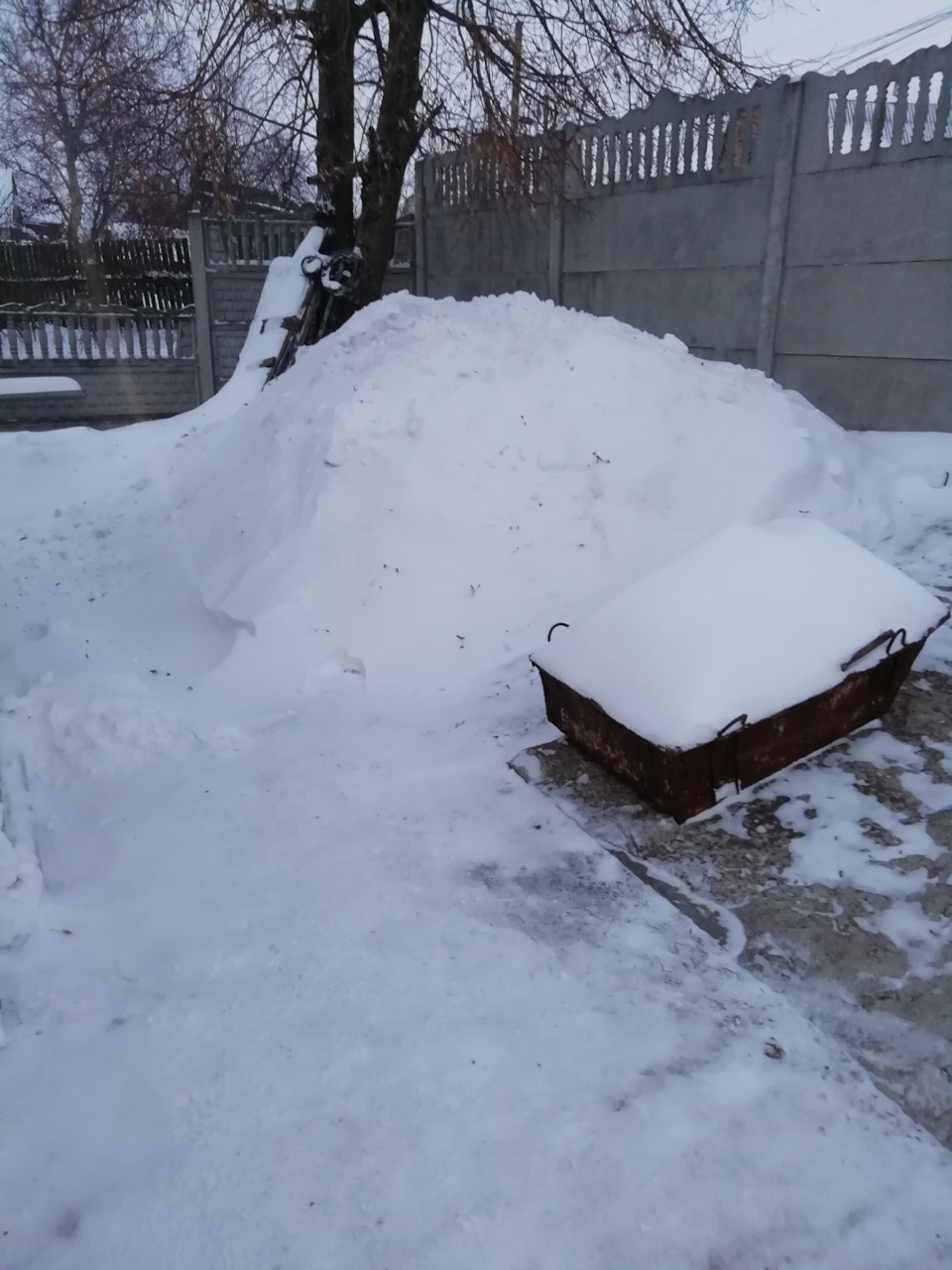 Зима! ❄️ 4