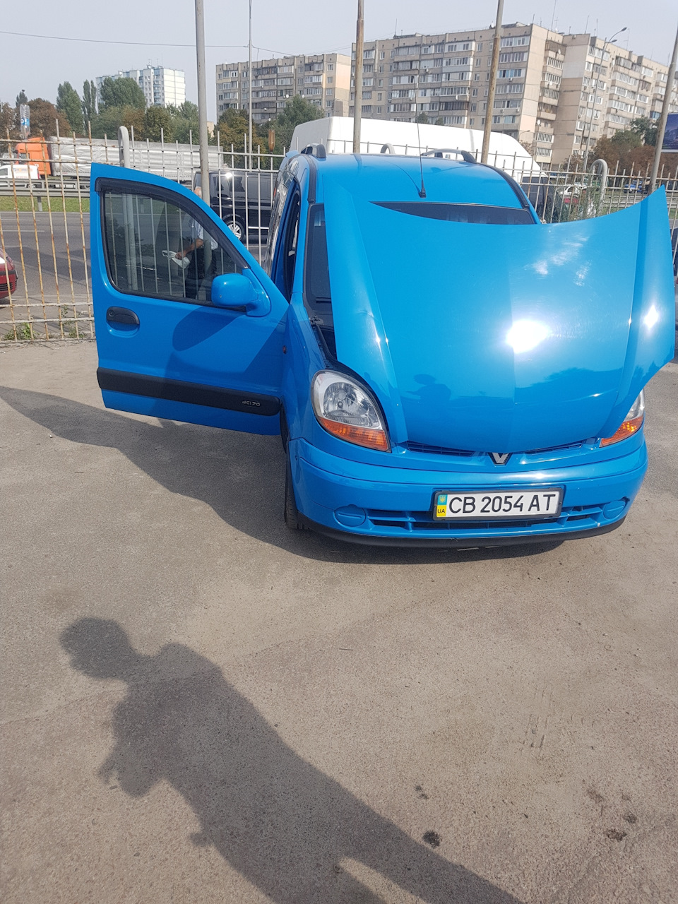 Продано дельфін 1